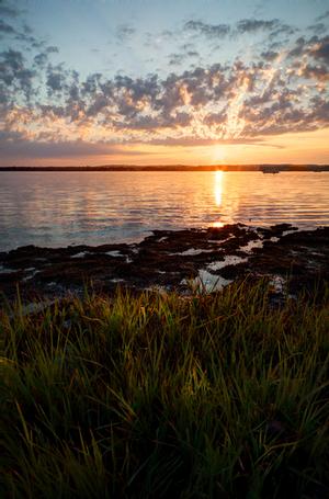 Click to view full screen - Morning in the Marsh