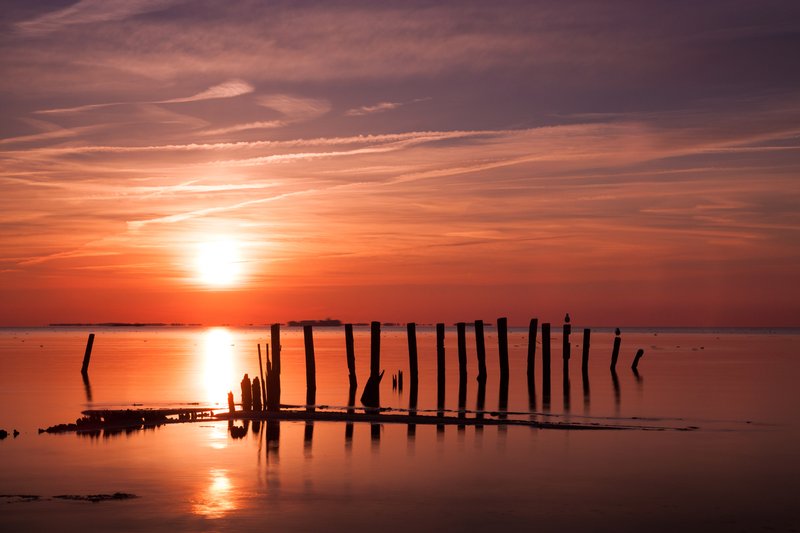 Click to view full screen - Decay on the Bay